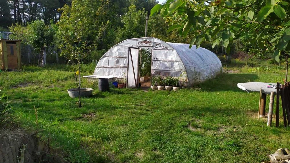 Продам земельну ділянку в найкращому місці біля лісу с.Нова
