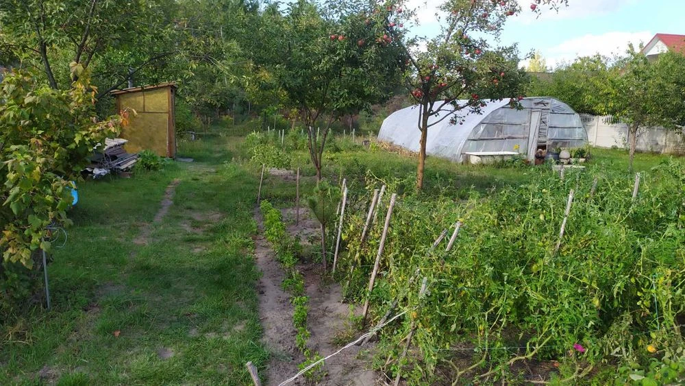 Продам земельну ділянку в найкращому місці біля лісу с.Нова