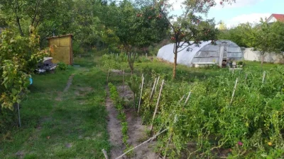 Продам земельну ділянку в найкращому місці біля лісу с.Нова