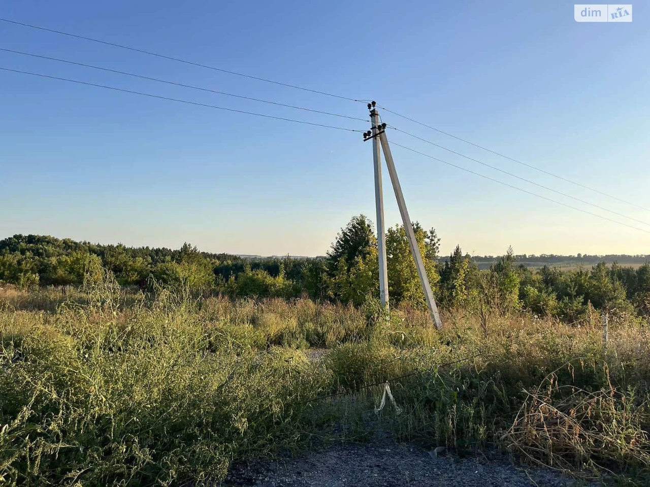 Продаж Земля сільськогосподарського призначення Ружична