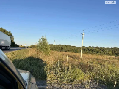 Продаж Земля сільськогосподарського призначення Ружична