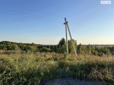 Продаж Земля сільськогосподарського призначення Ружична