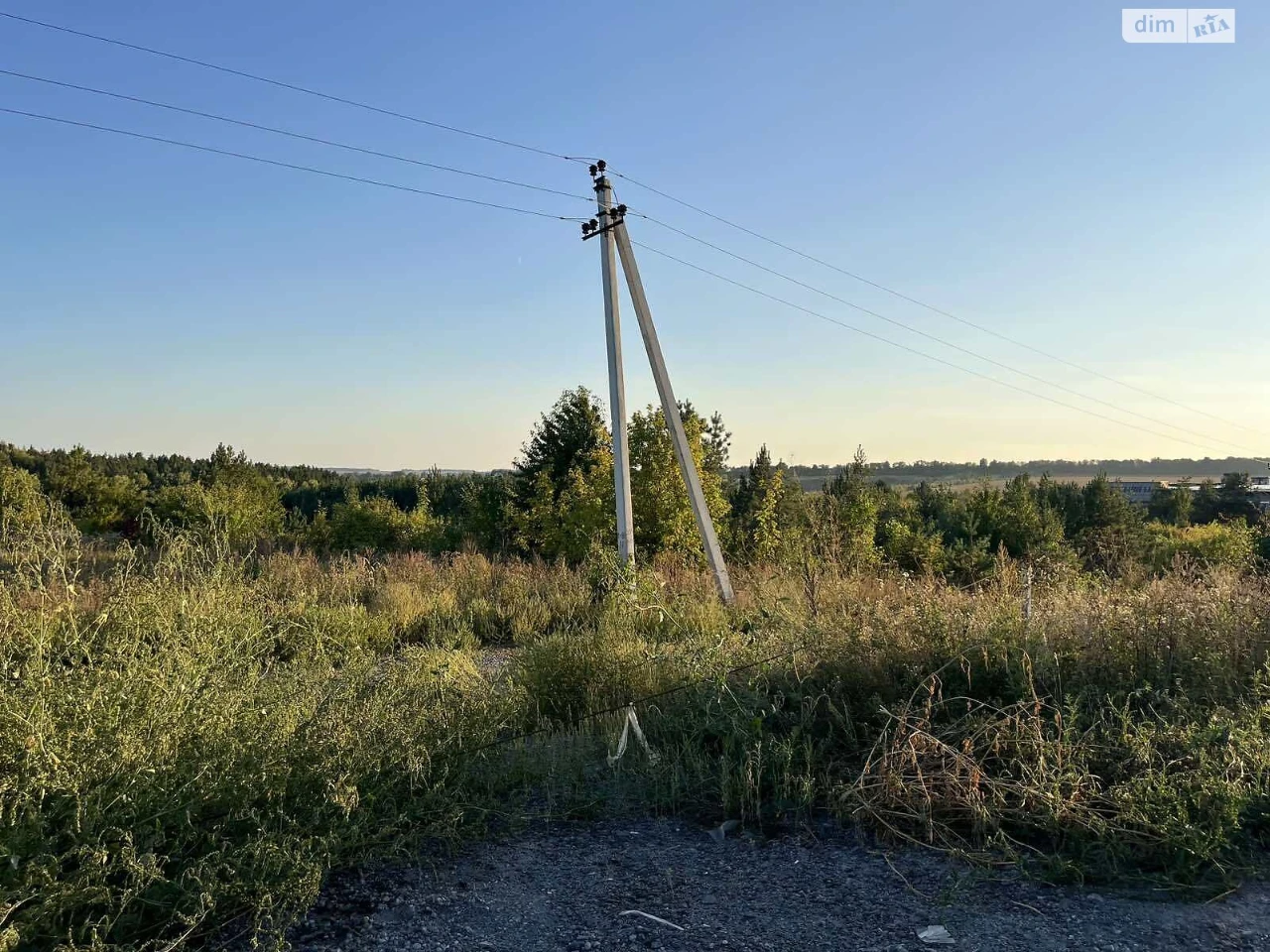 Продаж Земля сільськогосподарського призначення Ружична