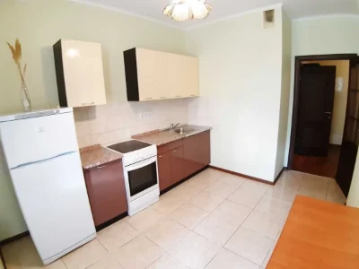 Оренда 1-кімнатної квартири 49.5 м², Петра Панча вул., Дегтя