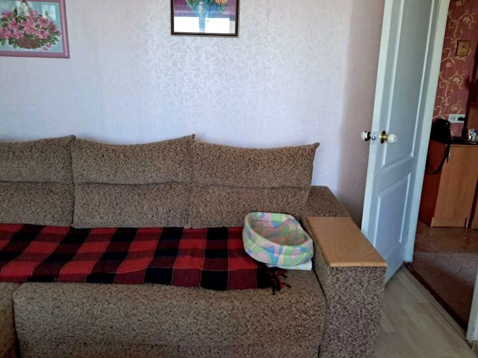 Квартира. Запоріжжя, Північно-Кільцева вул.