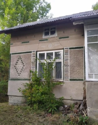 Продам будинок в с. Рошнів
