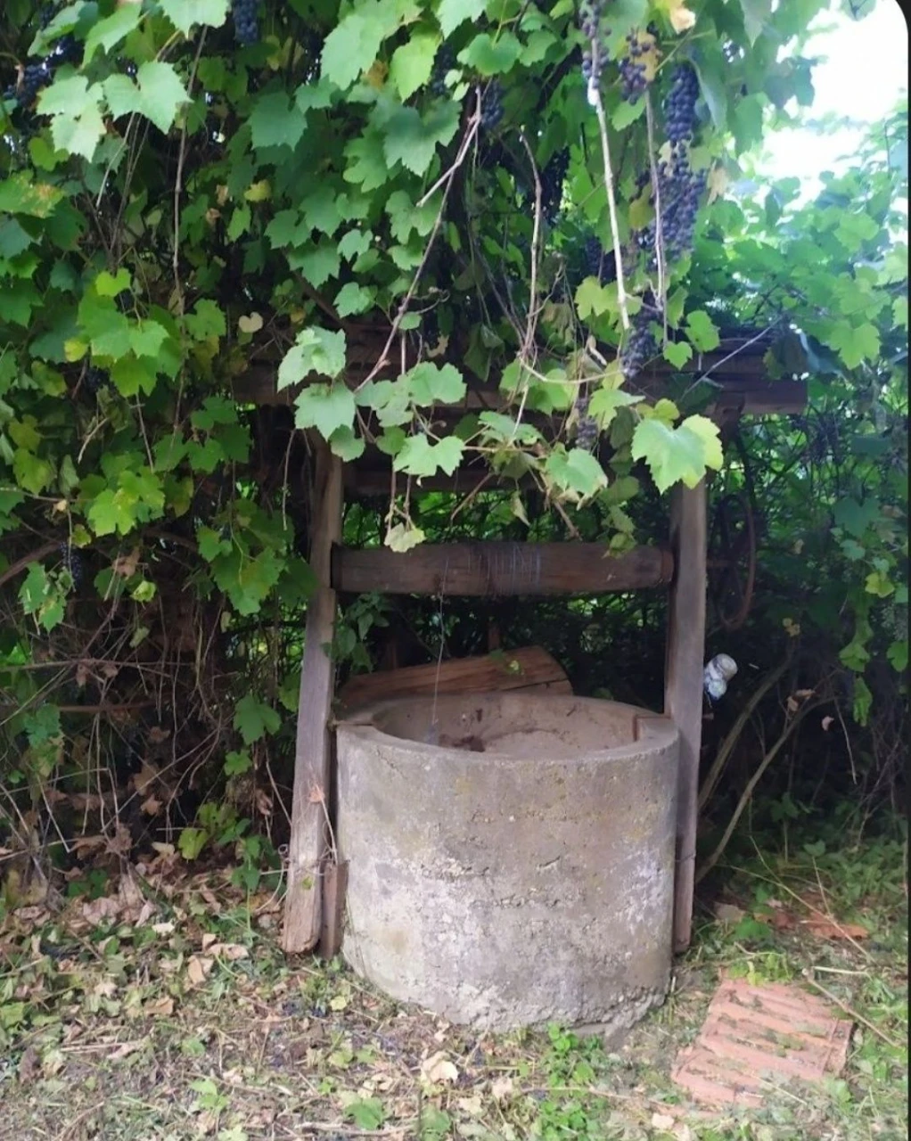 Продам будинок в с. Рошнів