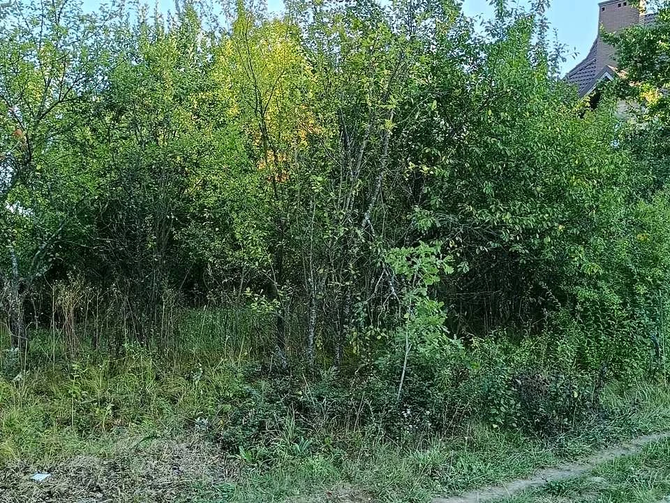Ділянка. Івано-Франківськ, Дем'янів Лаз вул. Бузкова