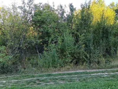 Ділянка. Івано-Франківськ, Дем'янів Лаз вул. Бузкова