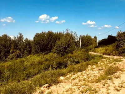 Ділянка. Ужгород