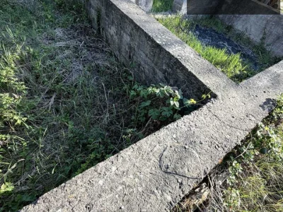 Ділянка. Ужгород