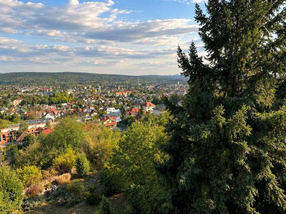Ділянка. Ужгород, Далека вул.