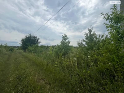 Продаж Земля сільськогосподарського призначення Гречани