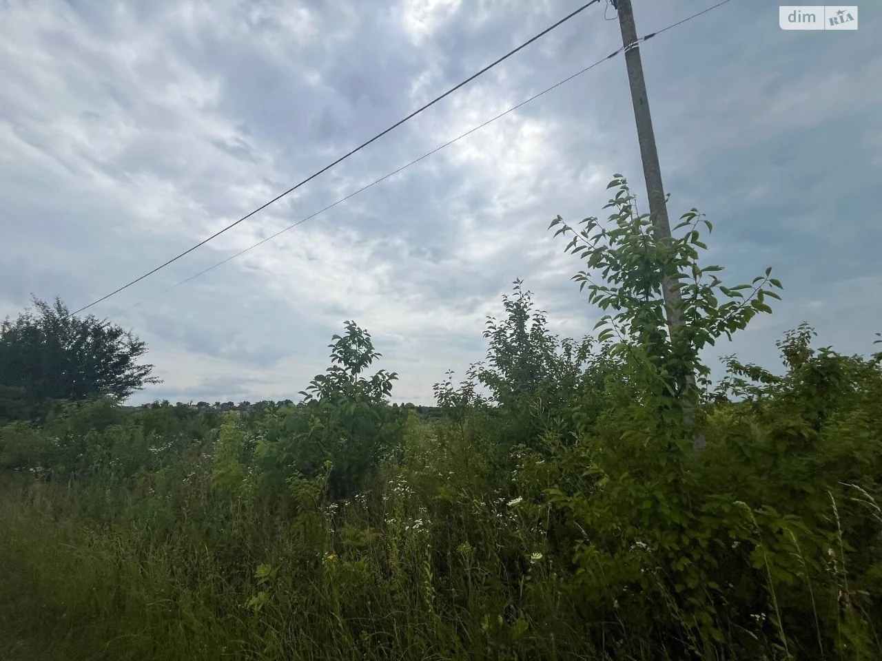 Продаж Земля сільськогосподарського призначення Гречани