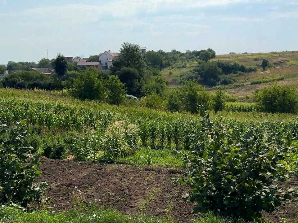 Ділянка. Хмельницький, Щаслива вул.