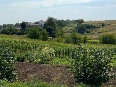 Ділянка. Хмельницький, Щаслива вул.