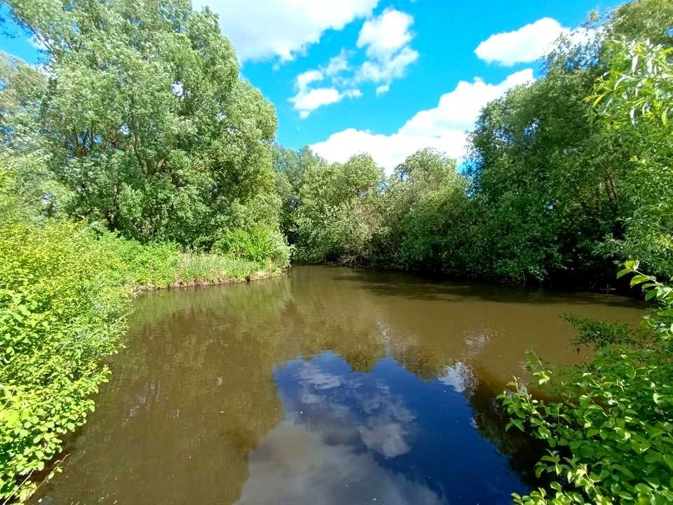 Ділянка. Хмельницький, Степанкова вул.