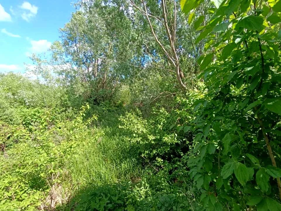 Ділянка. Хмельницький, Степанкова вул.