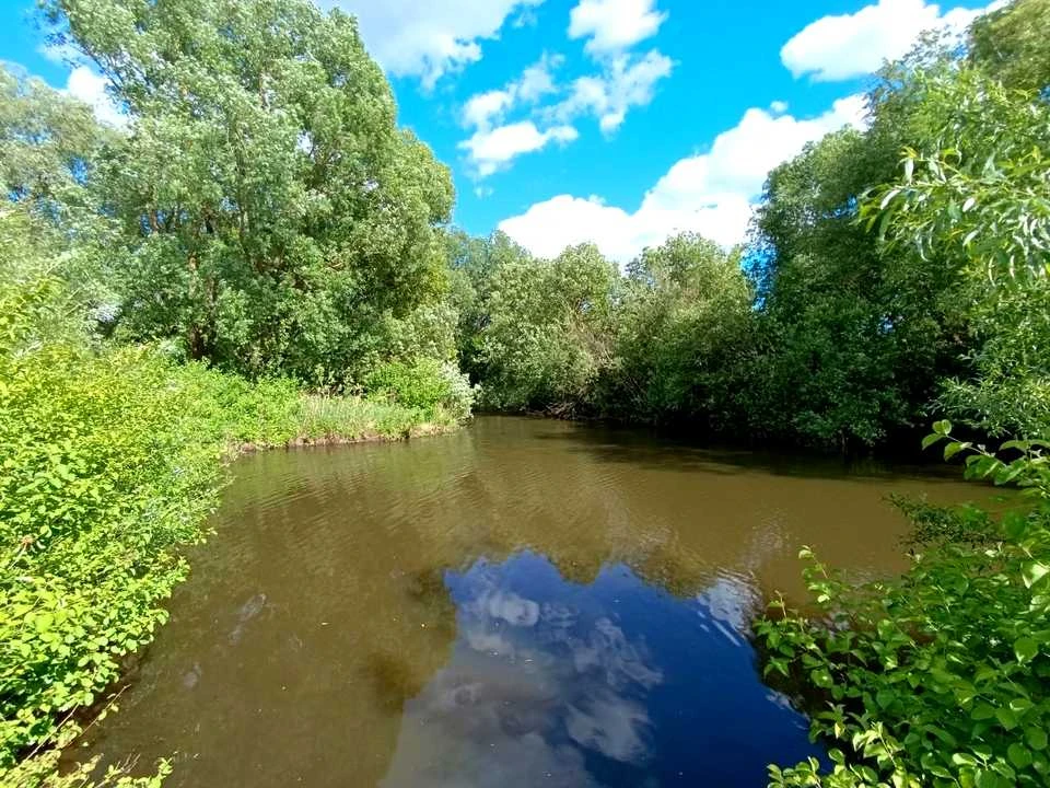 Ділянка. Хмельницький, Степанкова вул.