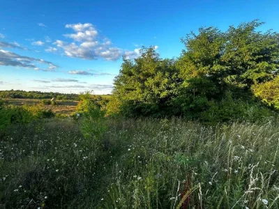 Ділянка. Хмельницький