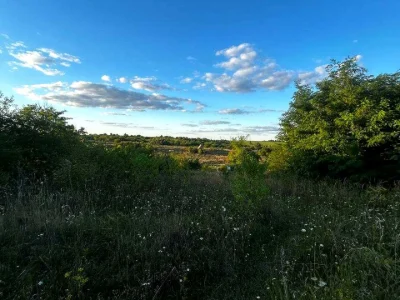 Ділянка. Хмельницький