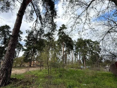 Ділянка. Черкаси