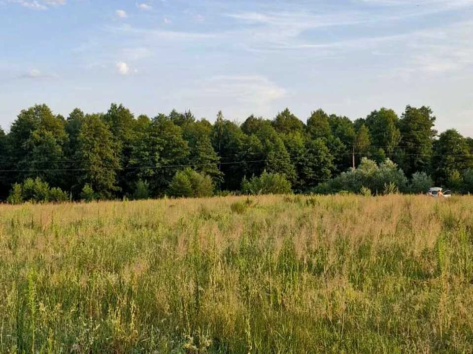 Ділянка. Житомир