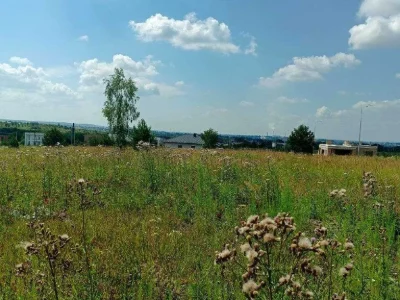 Ділянка. Рівне, Березова вул.