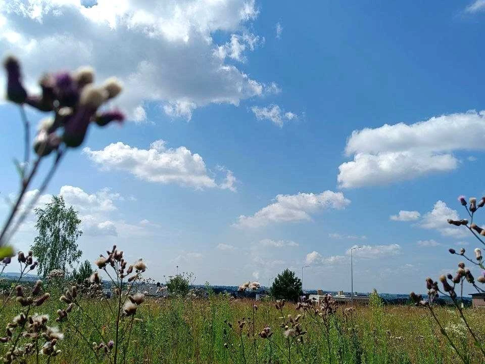 Ділянка. Рівне, Березова вул.