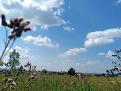 Ділянка. Рівне, Березова вул.