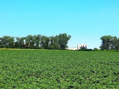Ділянка. Тернопіль, 15 Квітня вул.