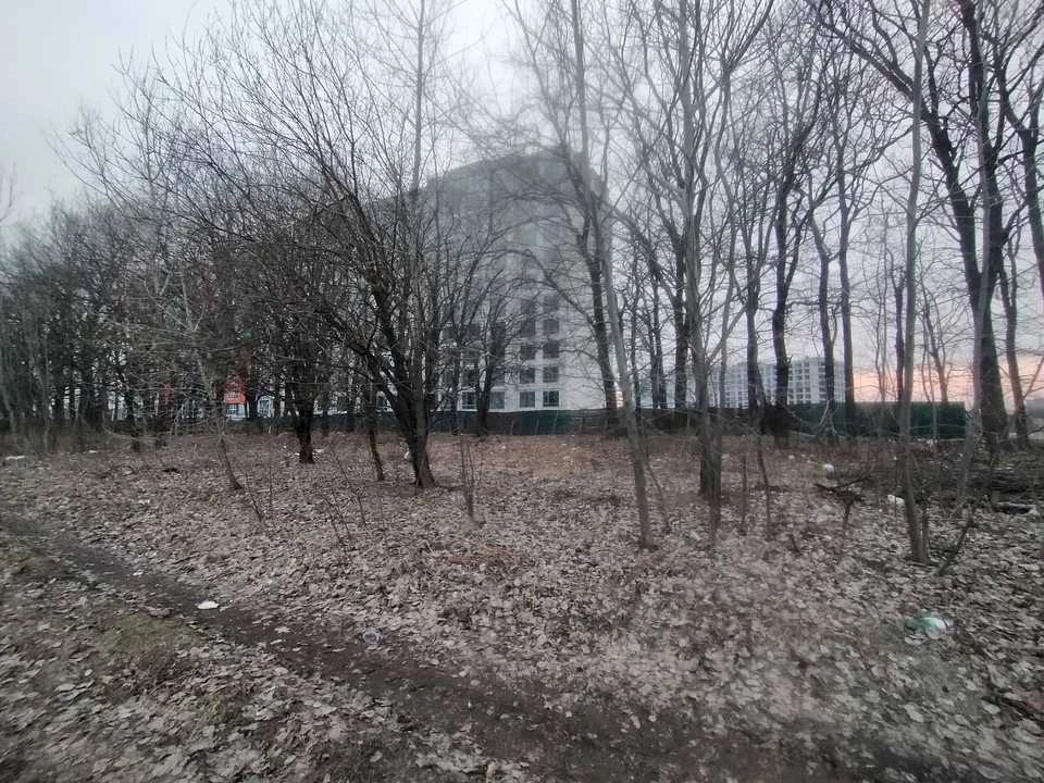 Ділянка. Чернігів, Багряного вул.