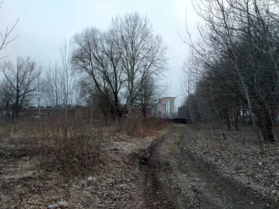 Ділянка. Чернігів, Багряного вул.