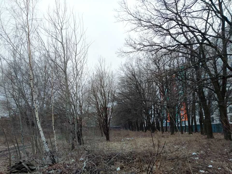 Ділянка. Чернігів, Багряного вул.