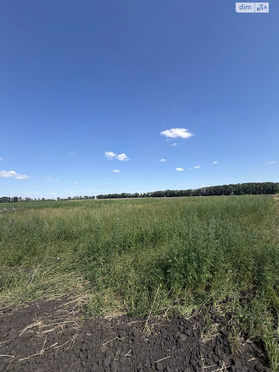Продажа Земля сельскохозяйственного назначения