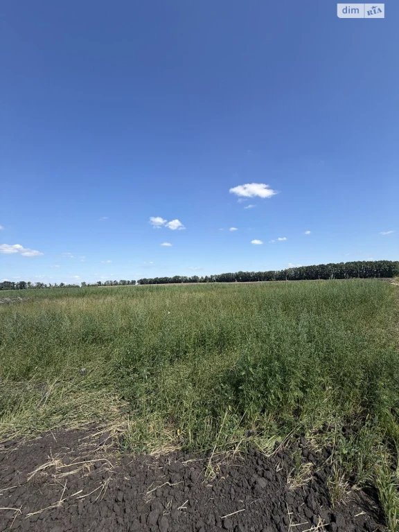 Продажа Земля сельскохозяйственного назначения