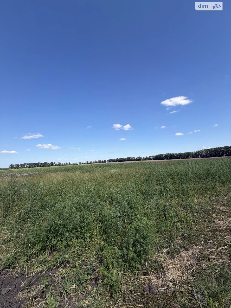 Продажа Земля сельскохозяйственного назначения