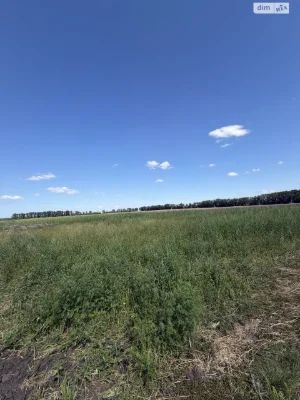 Продажа Земля сельскохозяйственного назначения