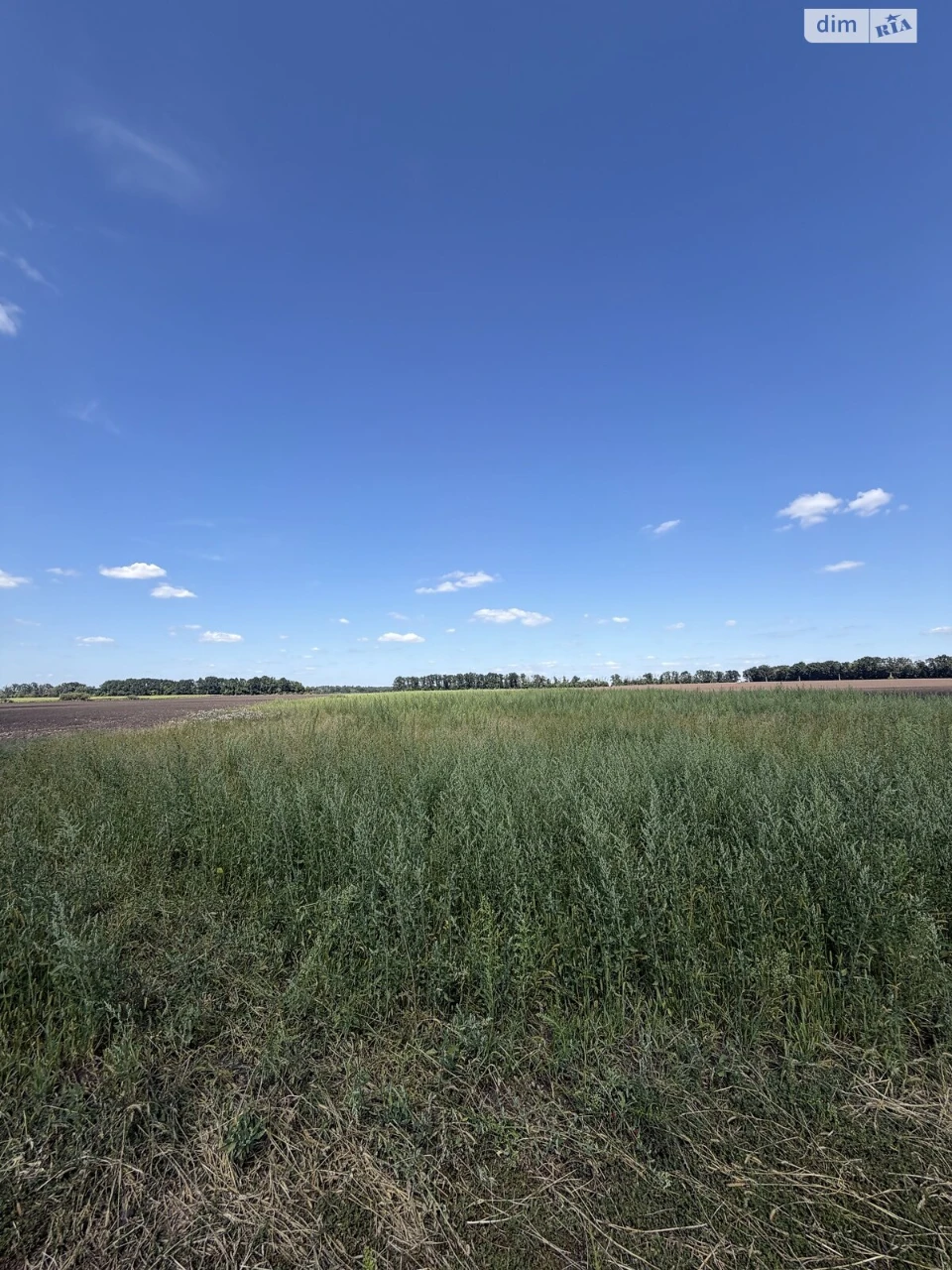 Продажа Земля сельскохозяйственного назначения