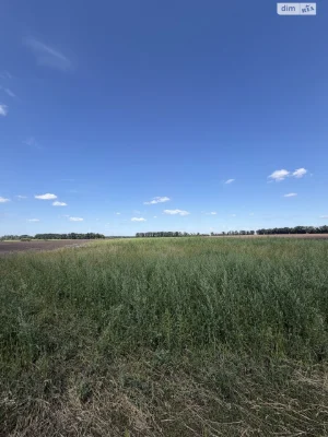 Продажа Земля сельскохозяйственного назначения