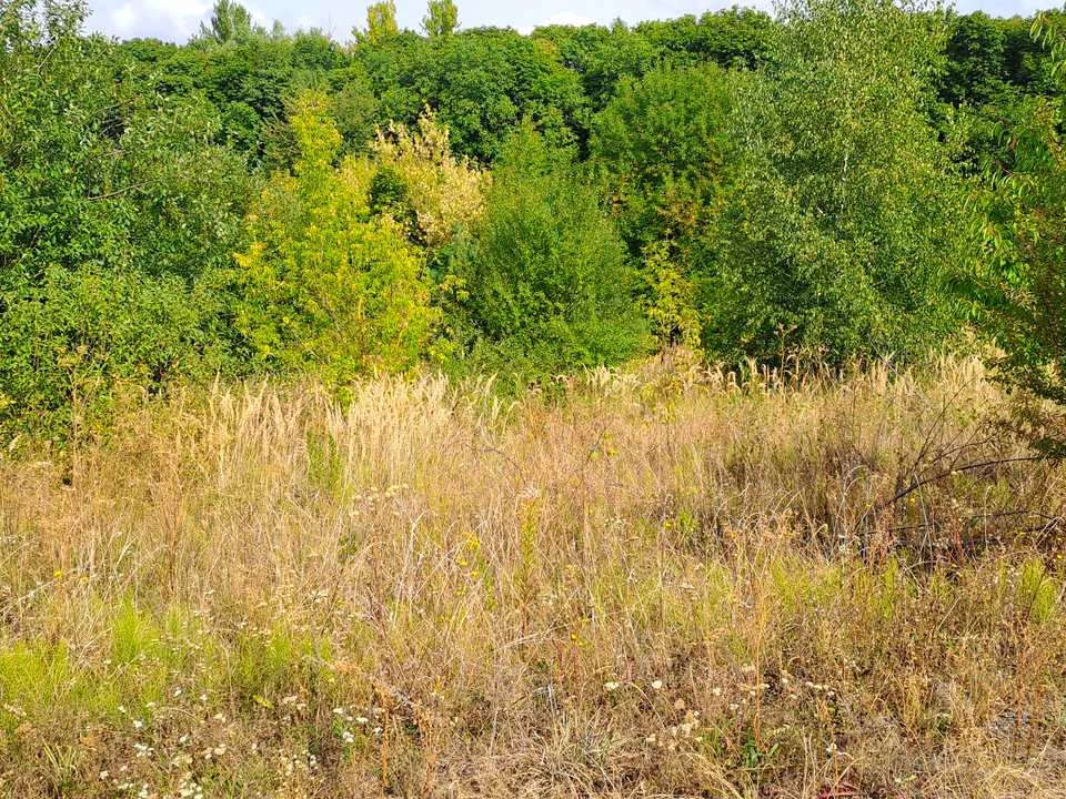 Ділянка. Тернопіль, Львівське шосе