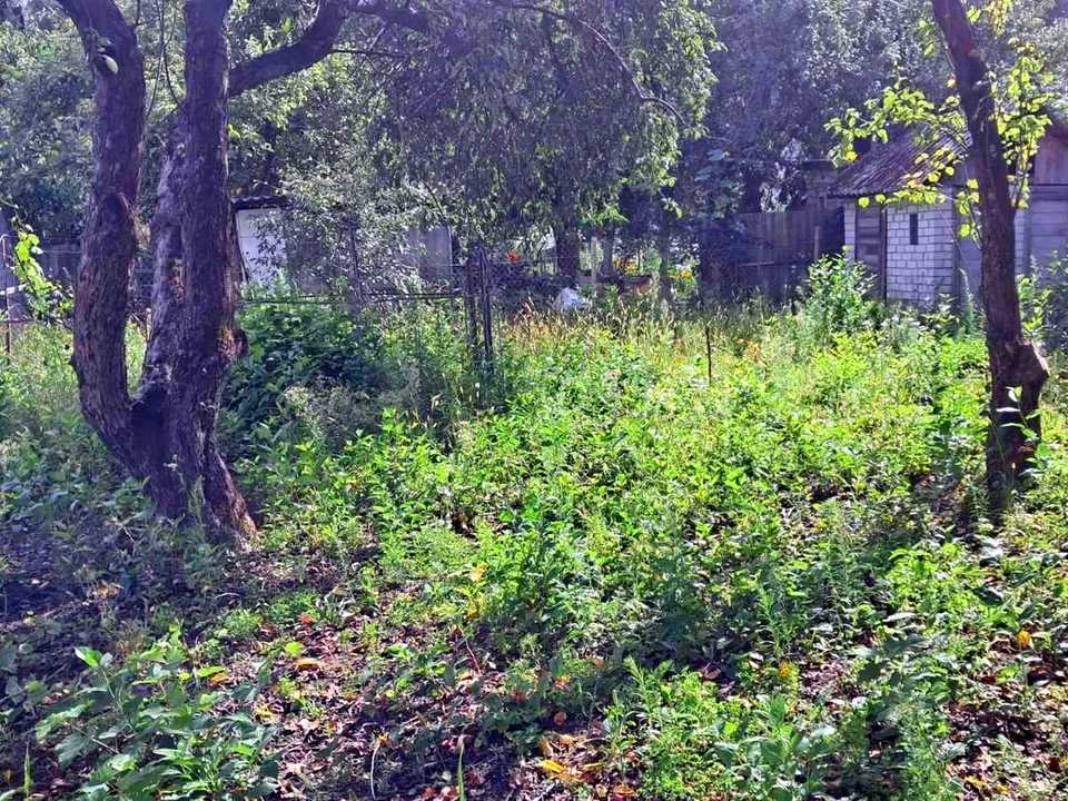 Ділянка. Чернігів, Миру просп.