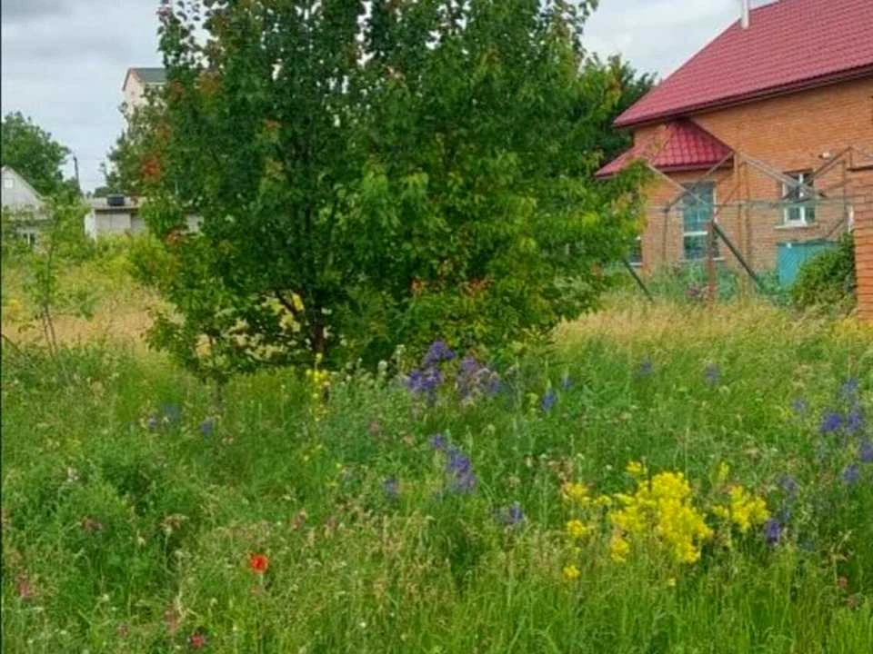 Ділянка. Кропивницький, Вербицького вул.