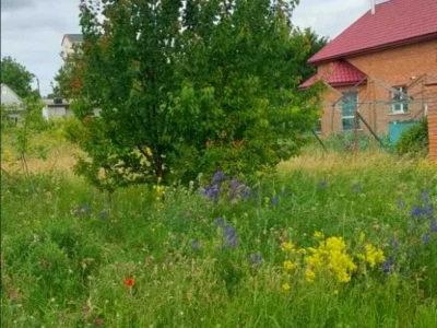 Ділянка. Кропивницький, Вербицького вул.