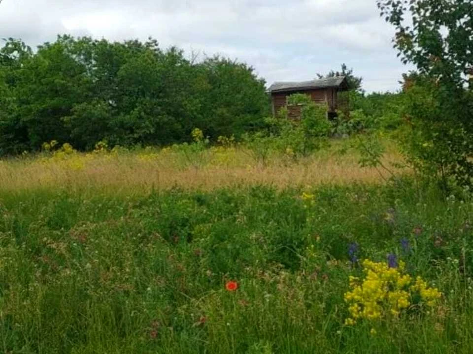 Ділянка. Кропивницький, Вербицького вул.