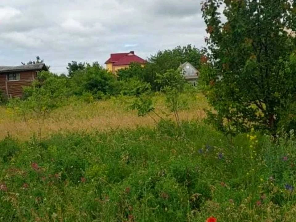 Ділянка. Кропивницький, Вербицького вул.