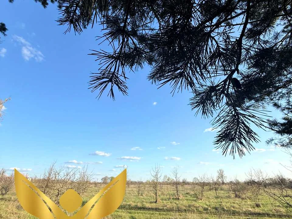 Ділянка. Кропивницький