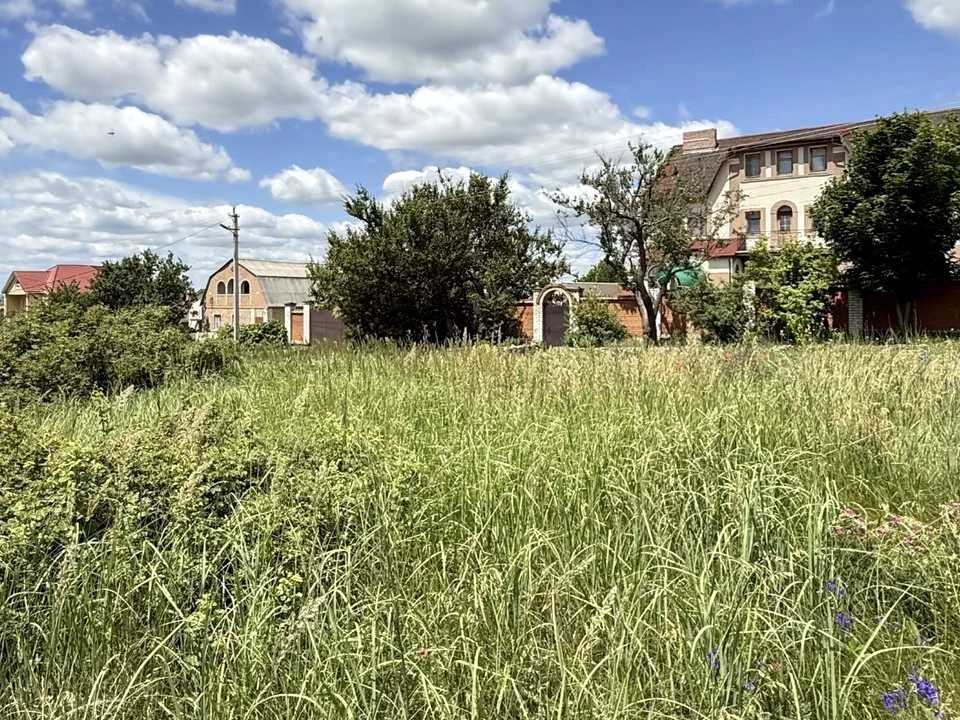 Ділянка. Кропивницький, Тіниста