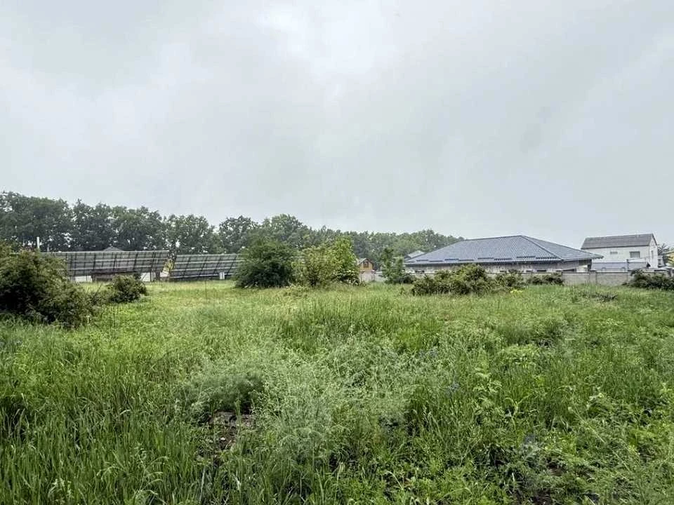 Ділянка. Кропивницький, Тіниста