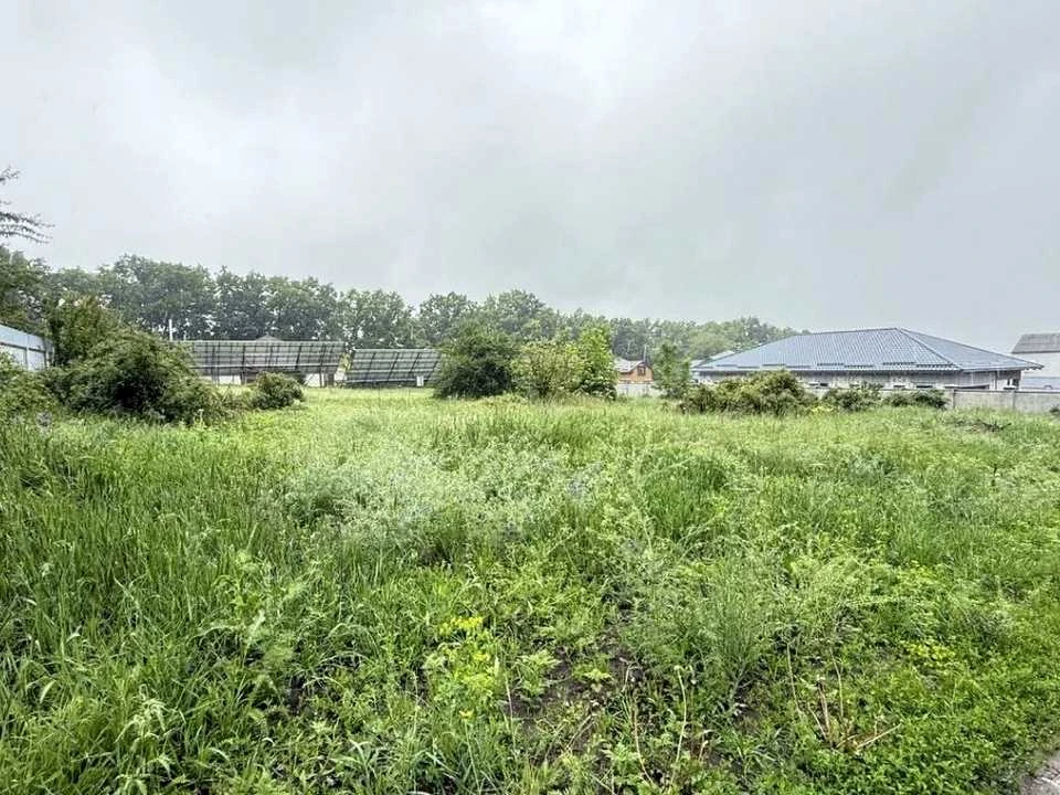 Ділянка. Кропивницький, Тіниста